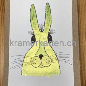 Herr Hase grün